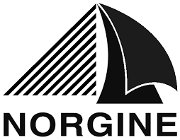 Norgine logo