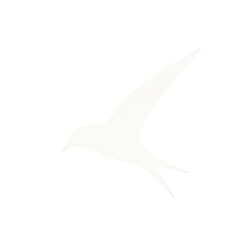 Executive Swift Travel Logo